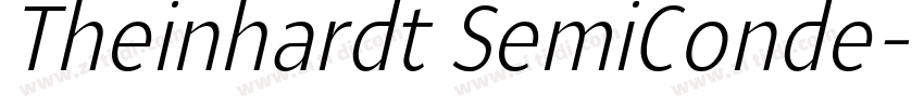 Theinhardt SemiConde字体转换 Theinhardt SemiConde字体转换